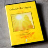 Celestial Pillar Qigong DVD - Image 2