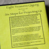 Eight Treasures Qigong (Ba Duan Jin) and Six Steps for Projecting Qi DVD - Image 2
