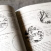 Qigong de la Fille de Jade: Réveiller l'énergie d'autoguérison grâce au Qigong (French Book) - Image 5