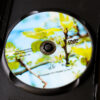 Six Sounds Therapy Qigong DVD - Image 2