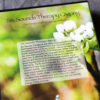 Six Sounds Therapy Qigong DVD - Image 3
